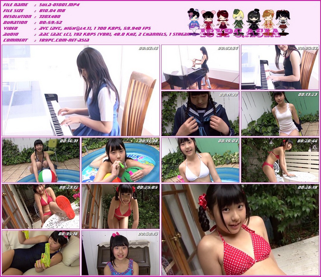 Hakusan Seiko SULA-01001 白山精工(SULA-01001 Hakusan Seiko)